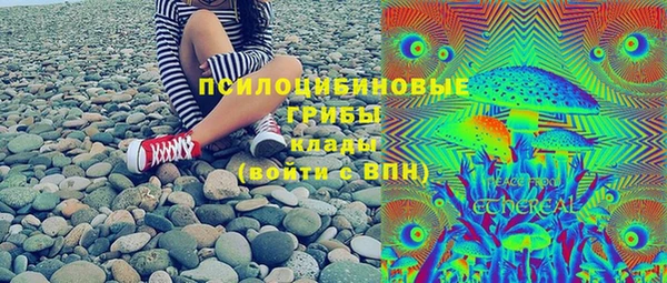 сатива Анива