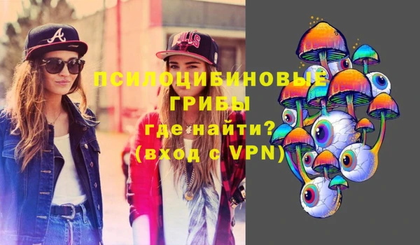 крисы Зеленодольск