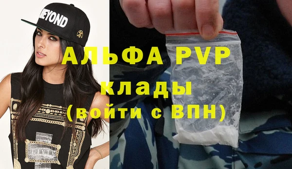 СК Инсар