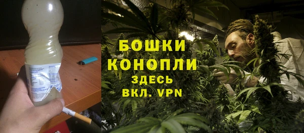крисы Зеленодольск