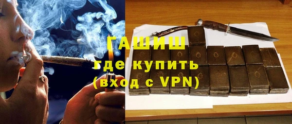 стаф Каменка