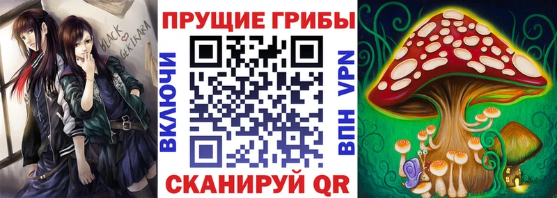 Галлюциногенные грибы MAGIC MUSHROOMS  Карабаново 